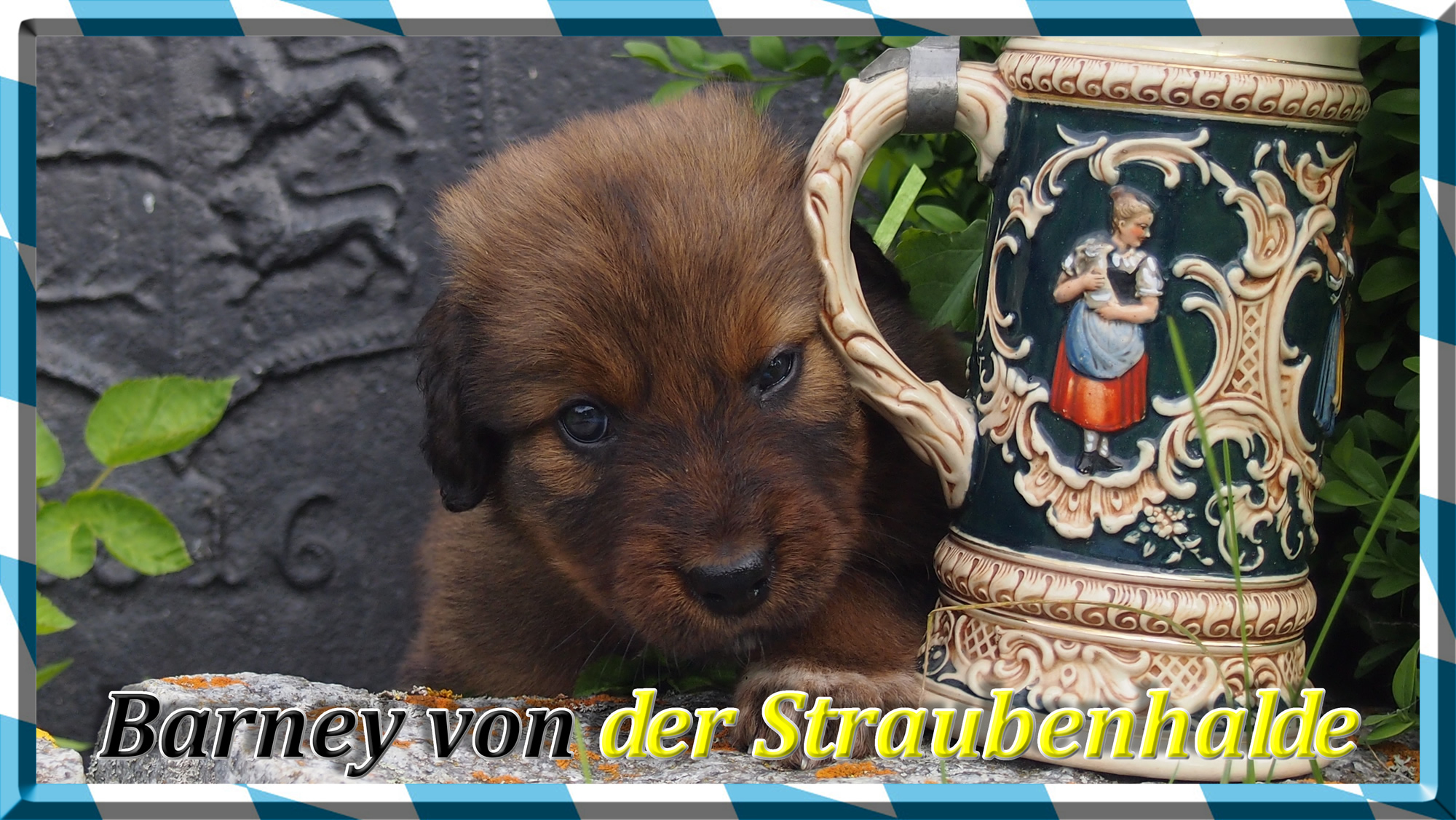 Wäller von der Straubenhalde